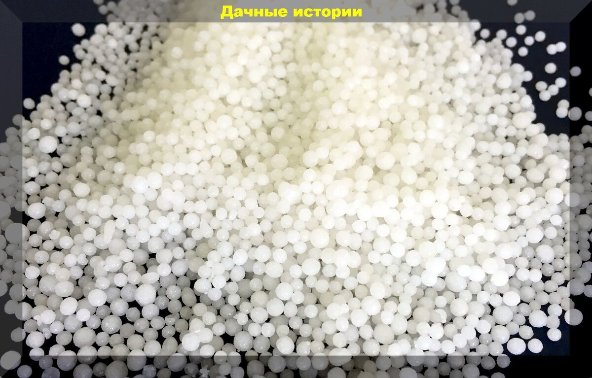 https://vk.com/photo-159774511_457248199