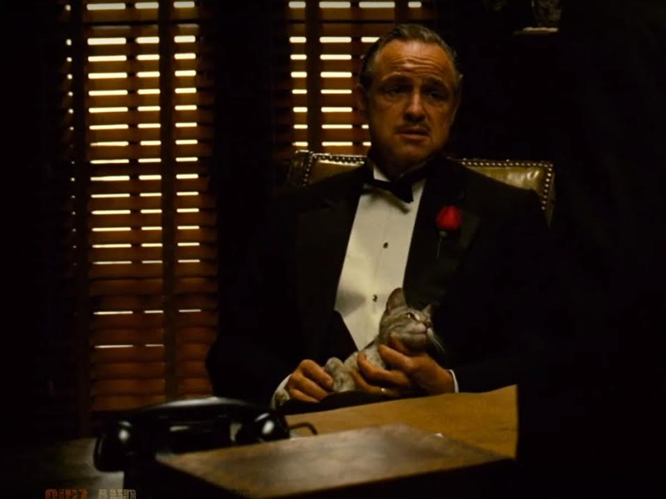 Godfather am. Марлон Брандо Дон Корлеоне. Дон Корлеоне с котом. Дон Корлеоне в кресле.