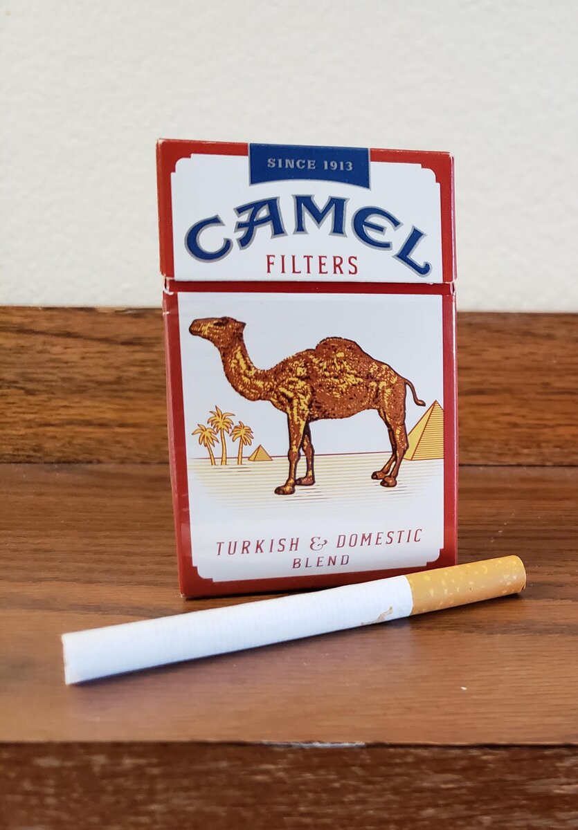 Виды сигарет camel. Популярные сигареты. Лев с сигаретой. Лучшие сигареты. Самые нормальные сигареты.