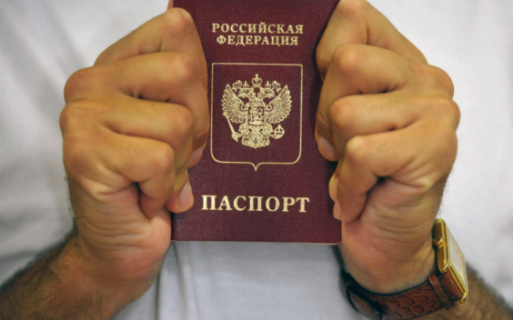 Фото взято на https://yandex.ru/images 