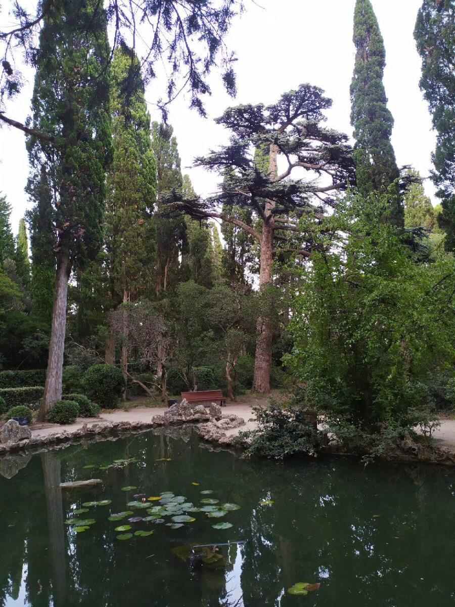 Массандровский парк. Если приглядеться, можно увидеть черепашек.