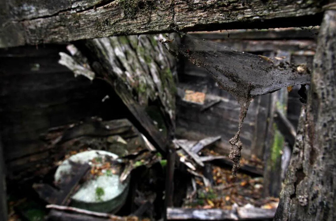 место проживания вампира