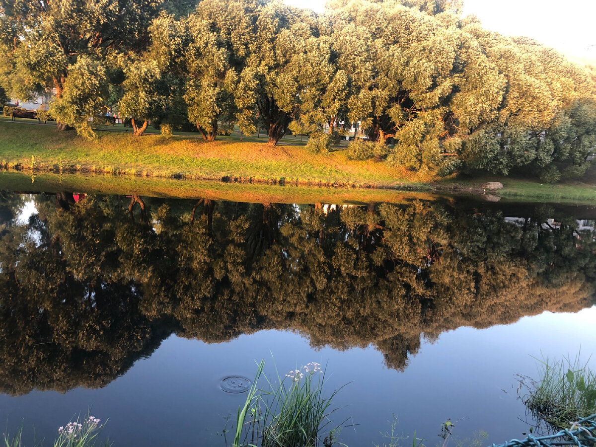 Летняя фотография, вода была как зеркало. Приносит покой и умиротворение. С инвестициями должно быть также
