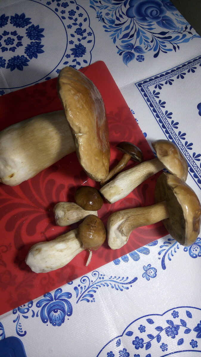 Грибочки загляденье.