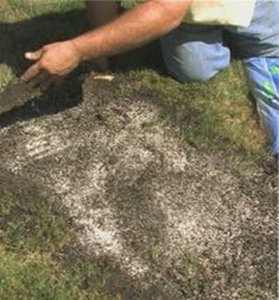 посев семян