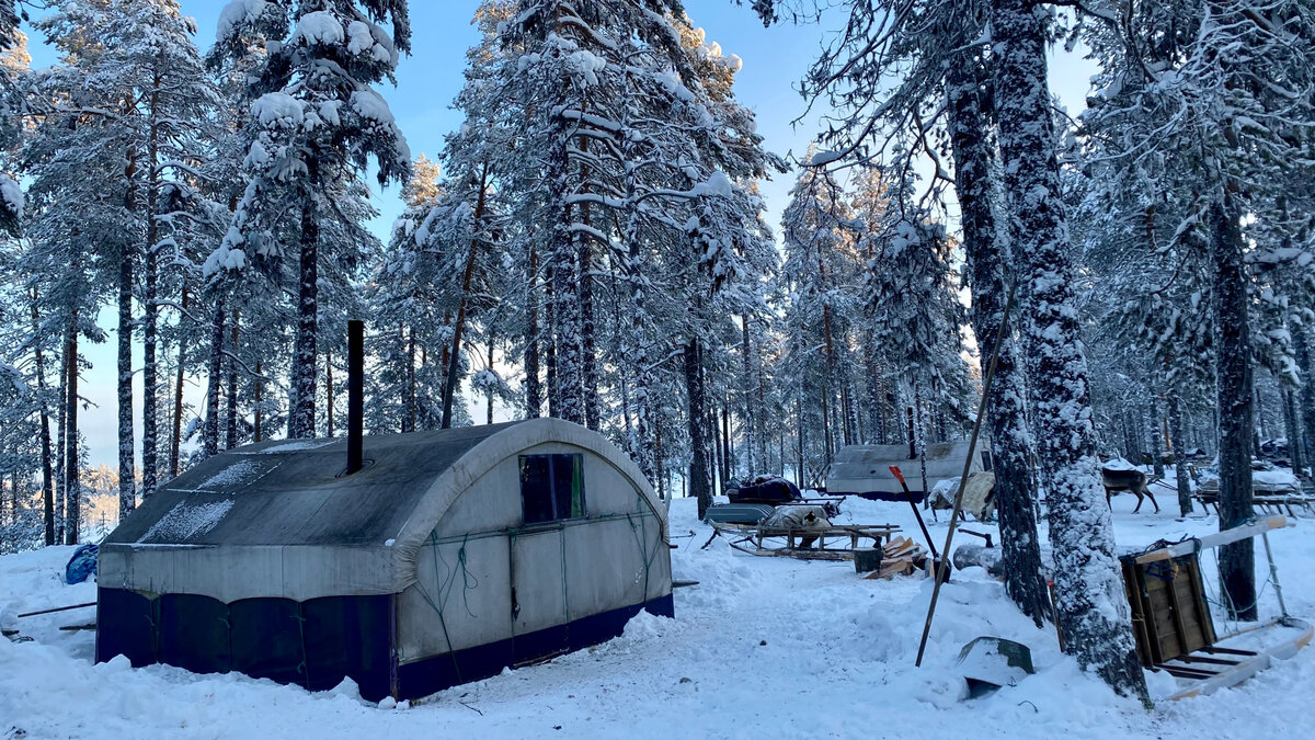 Фото: zorkinadventures