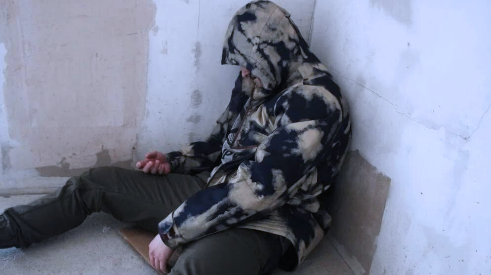 Яндекс картинки