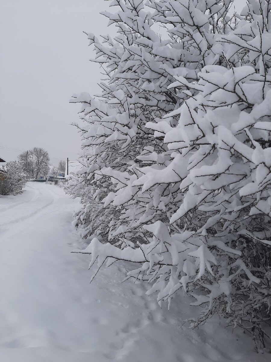 Праздники в православии. Село старая бесовка. Юлия старая бесовка новомалыклинский район. Старая бесовка история. Ульяновская область, новомалыклинский р-н, с.