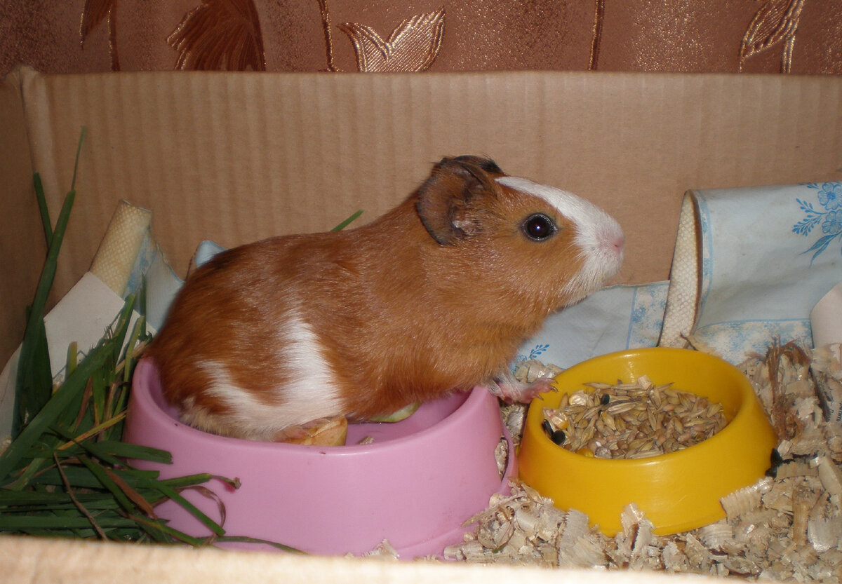 Автор фото Александра Кремнёва