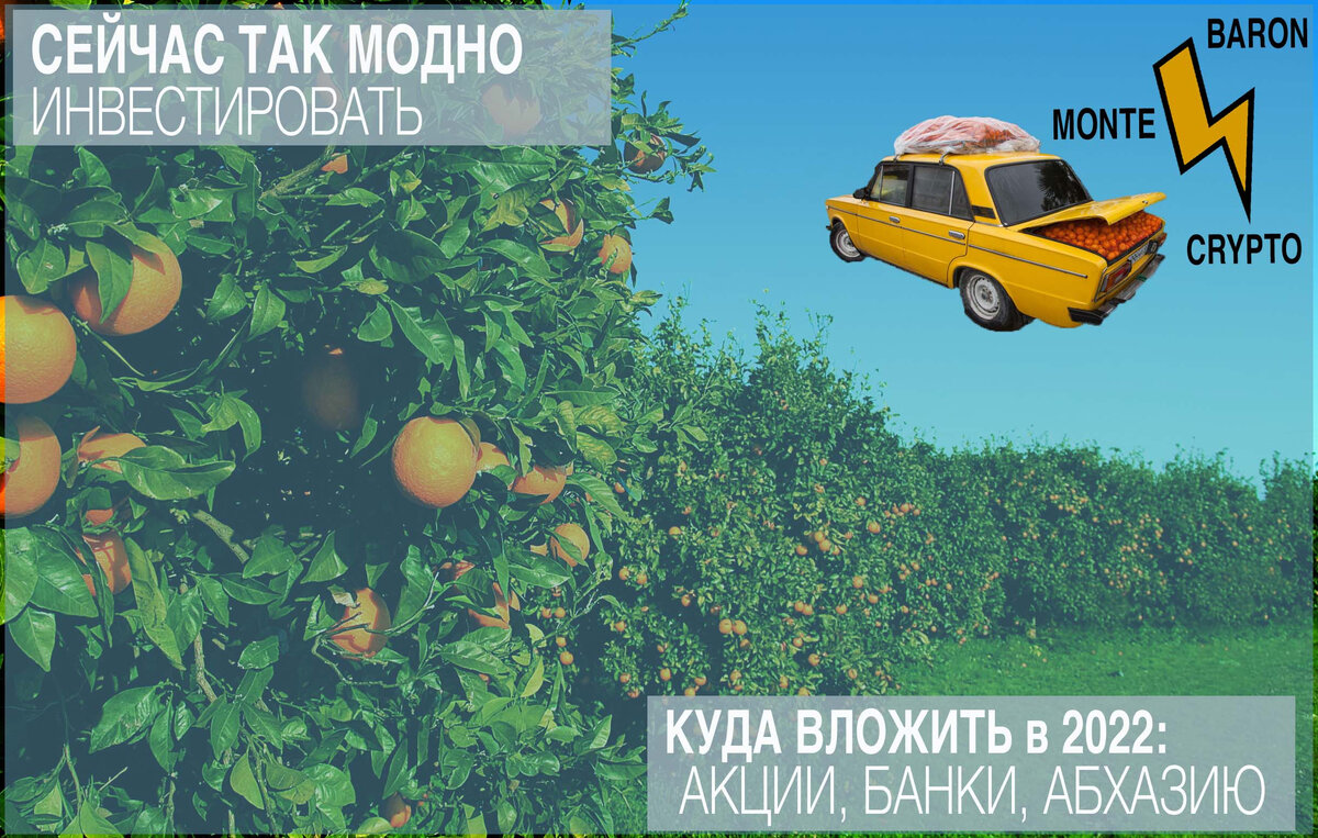 Ферма крипто-мандаринов. Абхазия.