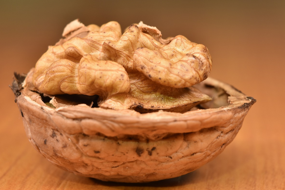 Фотография взята из источника pro-orehi.ru