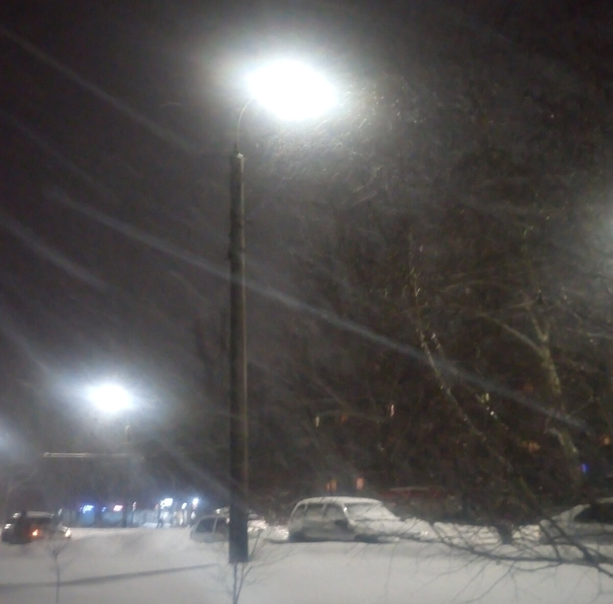 Такая снежная зима