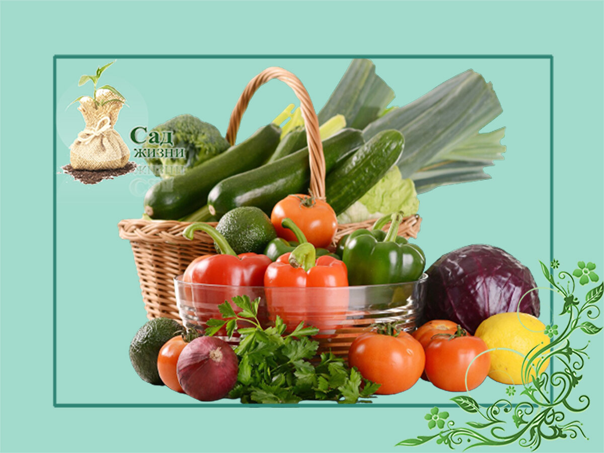 Овощ или ягода