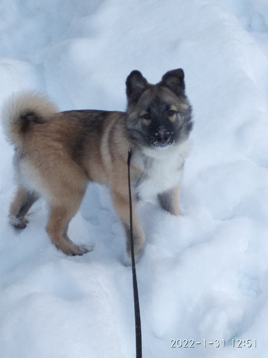 Селена (Джесси) дома!