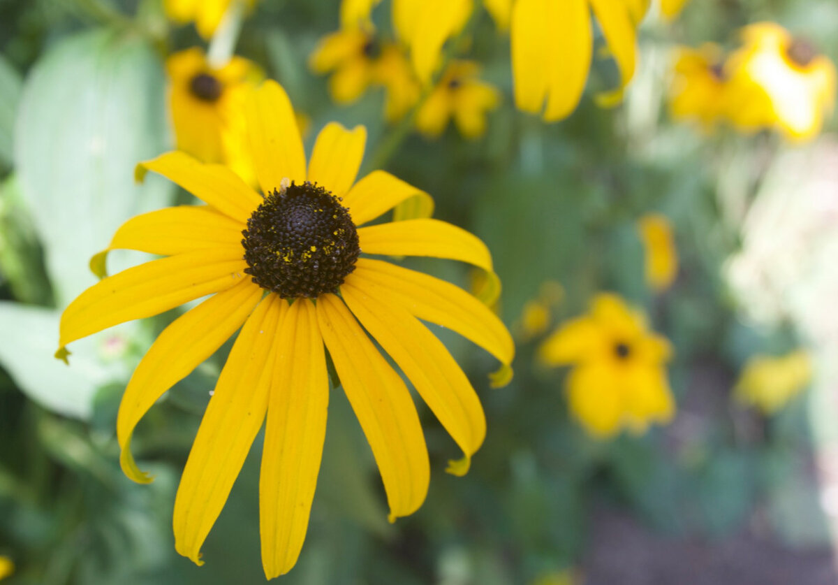 Фото Е.Лазурина