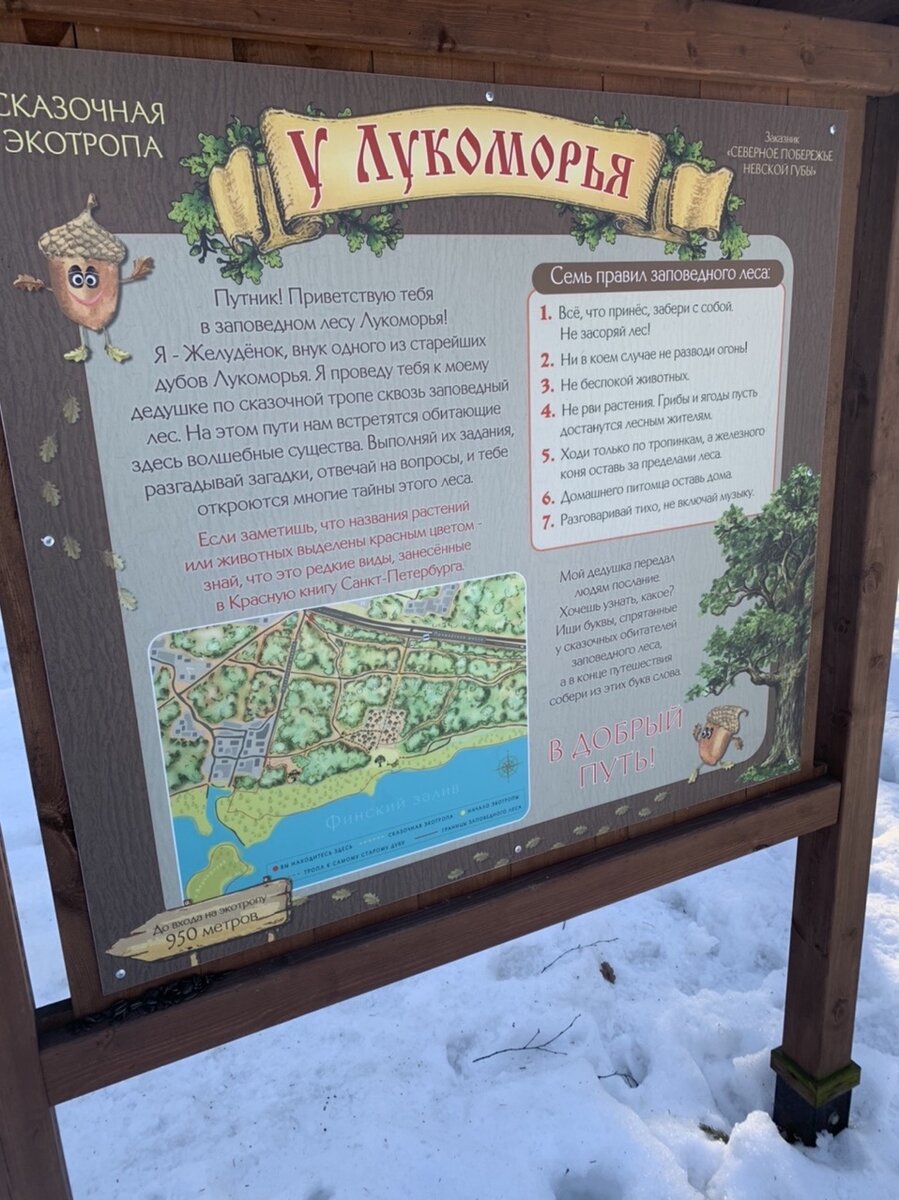 Такая карта встречает на входе 