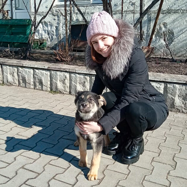 Славная парочка