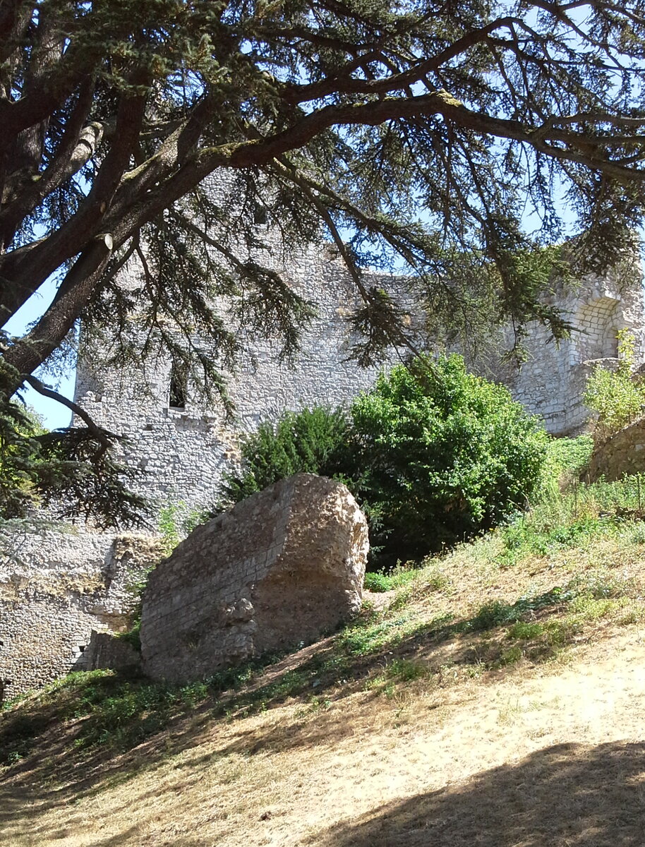 Развалины Вандомского замка. Фото автора