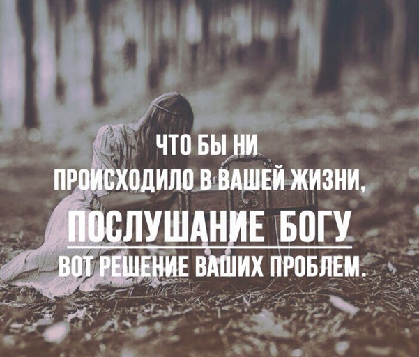 Картинка к статье взята из сети интернет, в свободном доступе