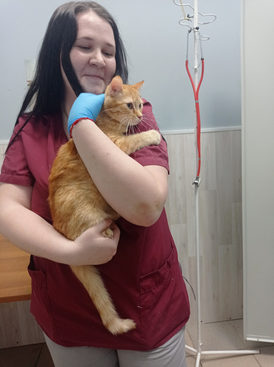 Полоска на руках у сотрудницы клиники