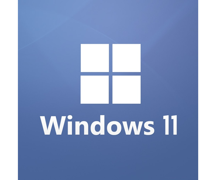 Windows 11 book