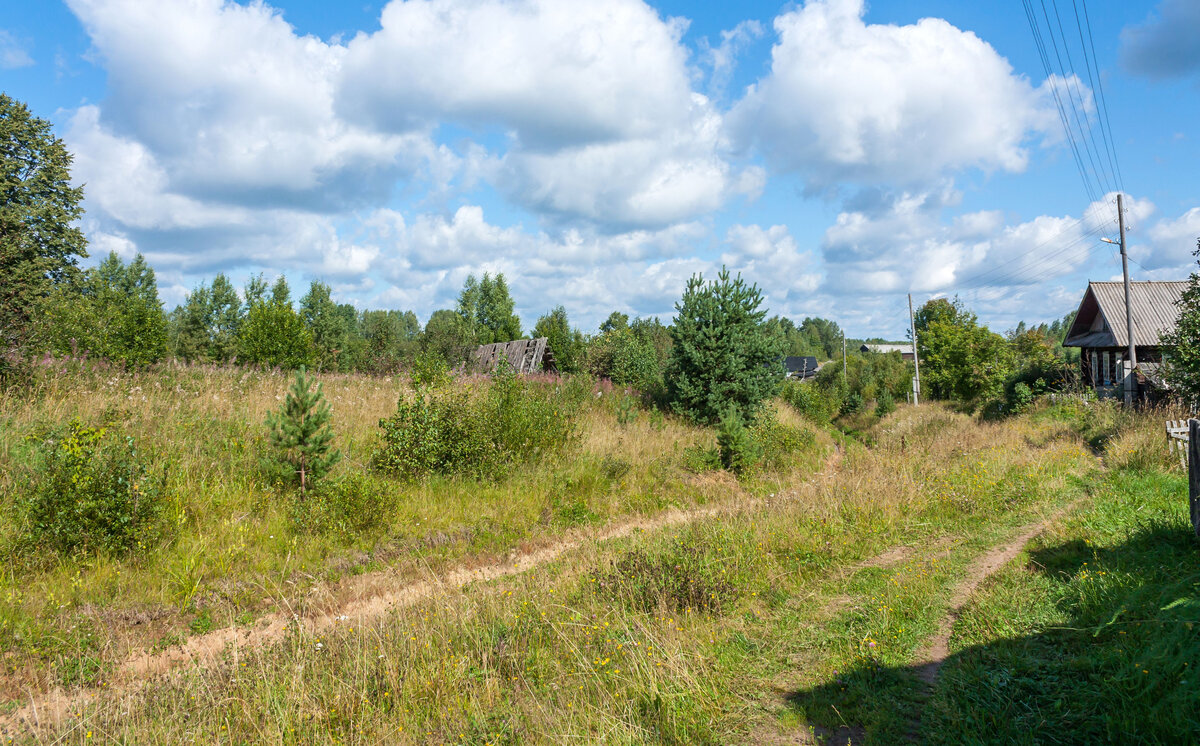 Село в александровском районе