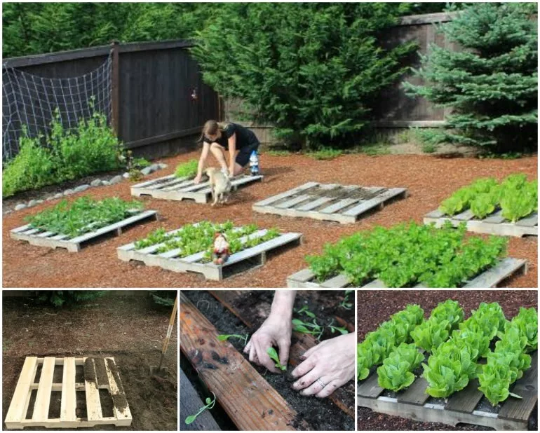 Украшаем сад из подручных материалов: 14 классных фото идей