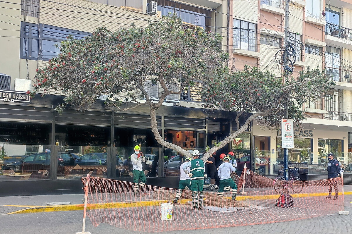 Обкапывают корни