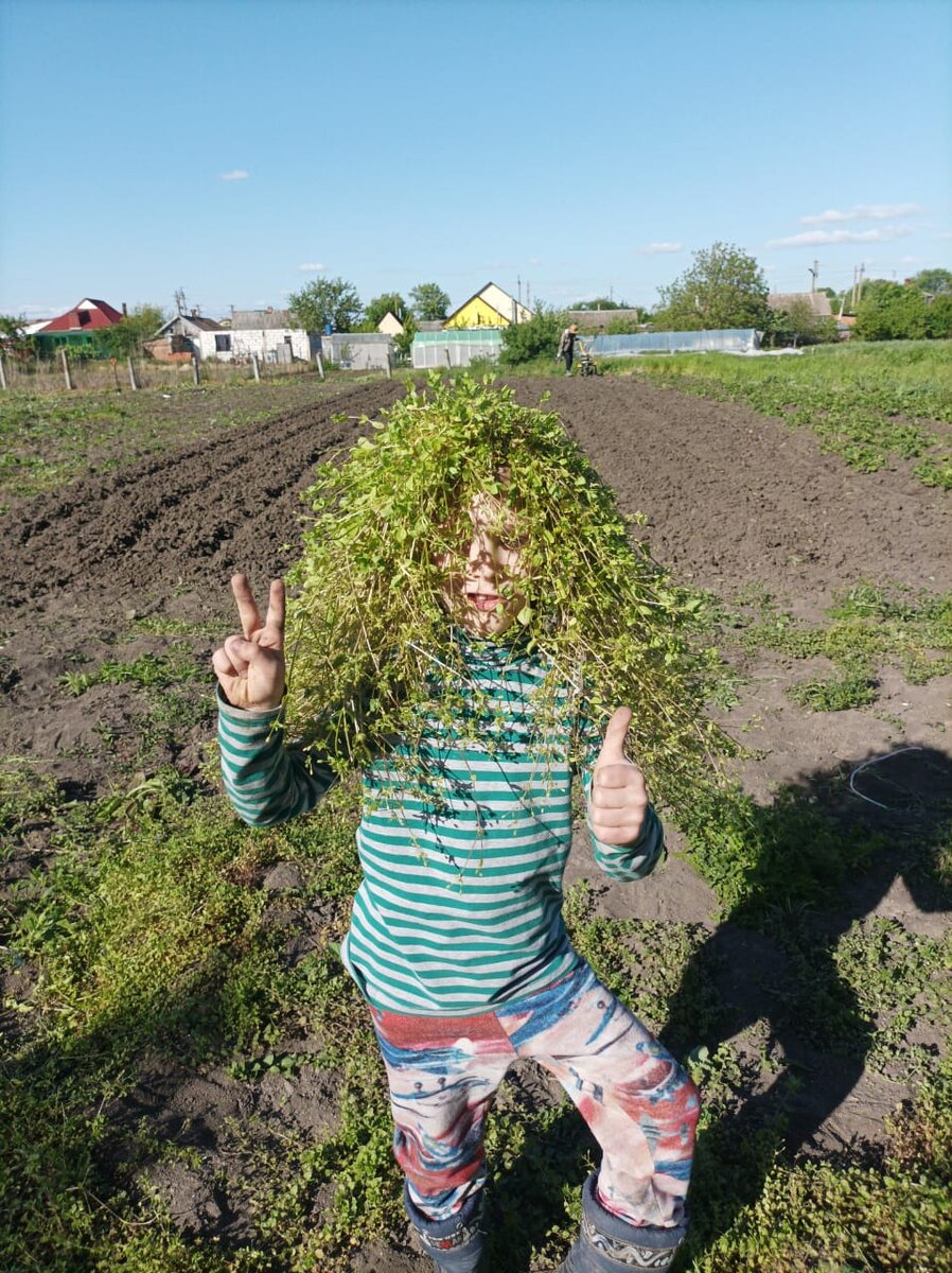 В первый день пахал с сорняками, а на второй сыновья пропололи и дело пошло быстрее.