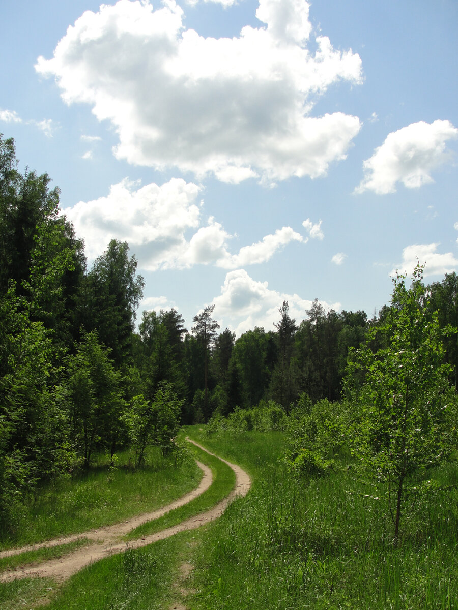 Фото Старого Солдата.
