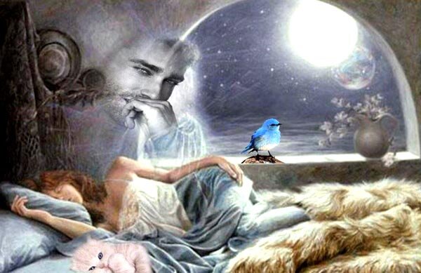 Фото Яндекс.Картинки