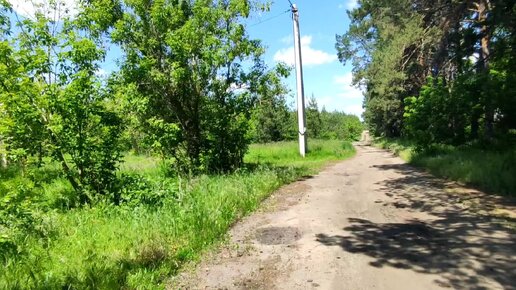 Заброшенные дома и красивая природа в деревне Емань. Воронежская область