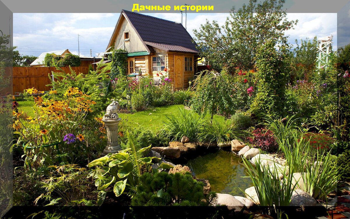 https://vk.com/photo-159774511_457253966