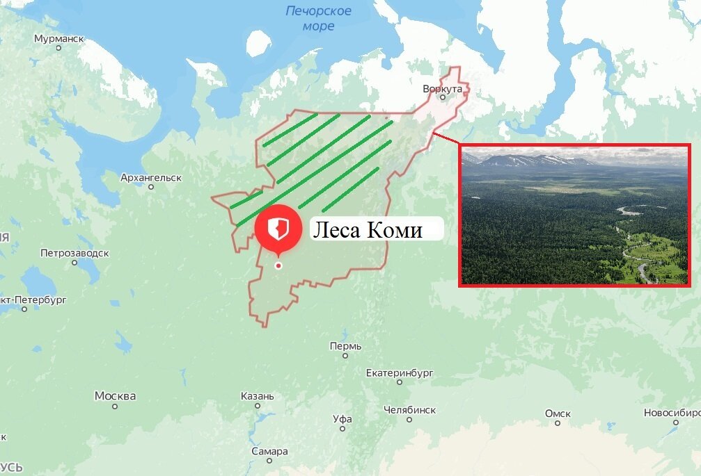Фото Яндекс картинки