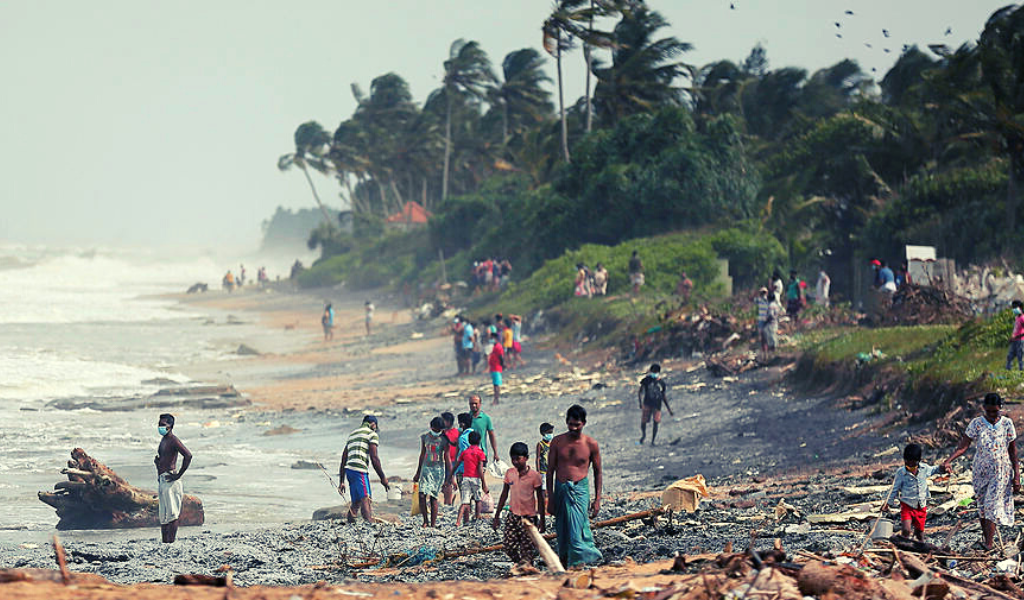 Шри последние. Катастрофа на Шри Ланке 2021. Экологическая катастрофа на Шри Ланке. Шри-Ланка Индурува ЦУНАМИ. Чрезвычайное положение на Шри Ланке.