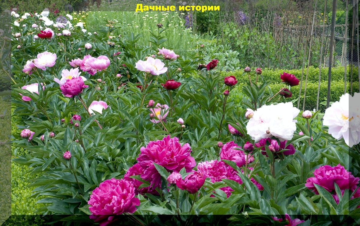 https://vk.com/photo-159774511_457254309