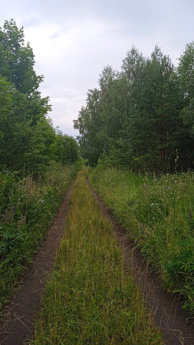А там за поворотом нас ждала....