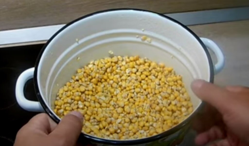 Рецепт пьяной кукурузы для рыбалки на сазана. Кукуруза на карпа. Приманка на сазана. Приготовление ферментированной ку. Кукуруза для рыбалки приготовление.
