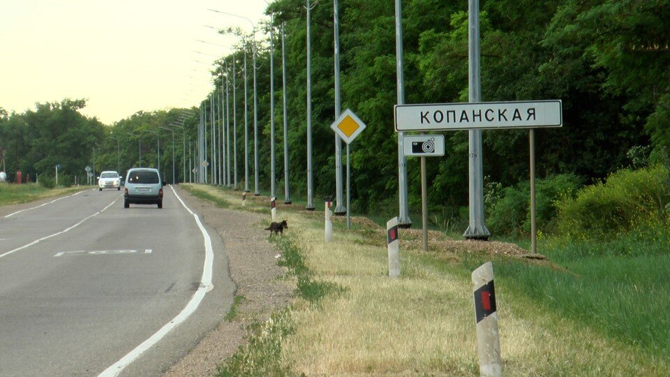     В станице Копанской есть одно из самых успешных предприятий