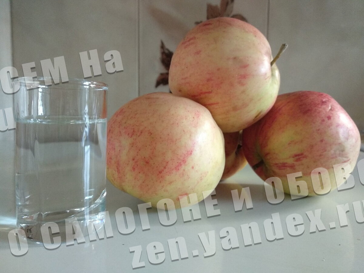 Простые рецепты вкусного яблочного самогона в домашних условиях
