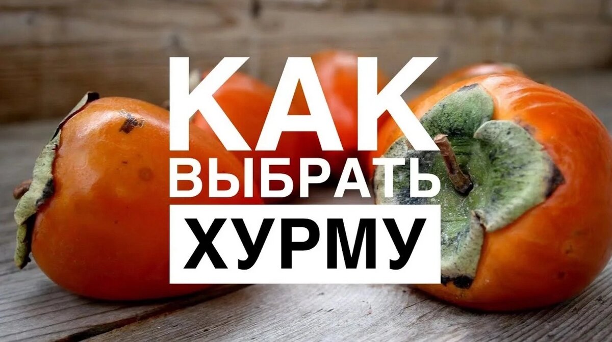 Хурма которая не вяжет