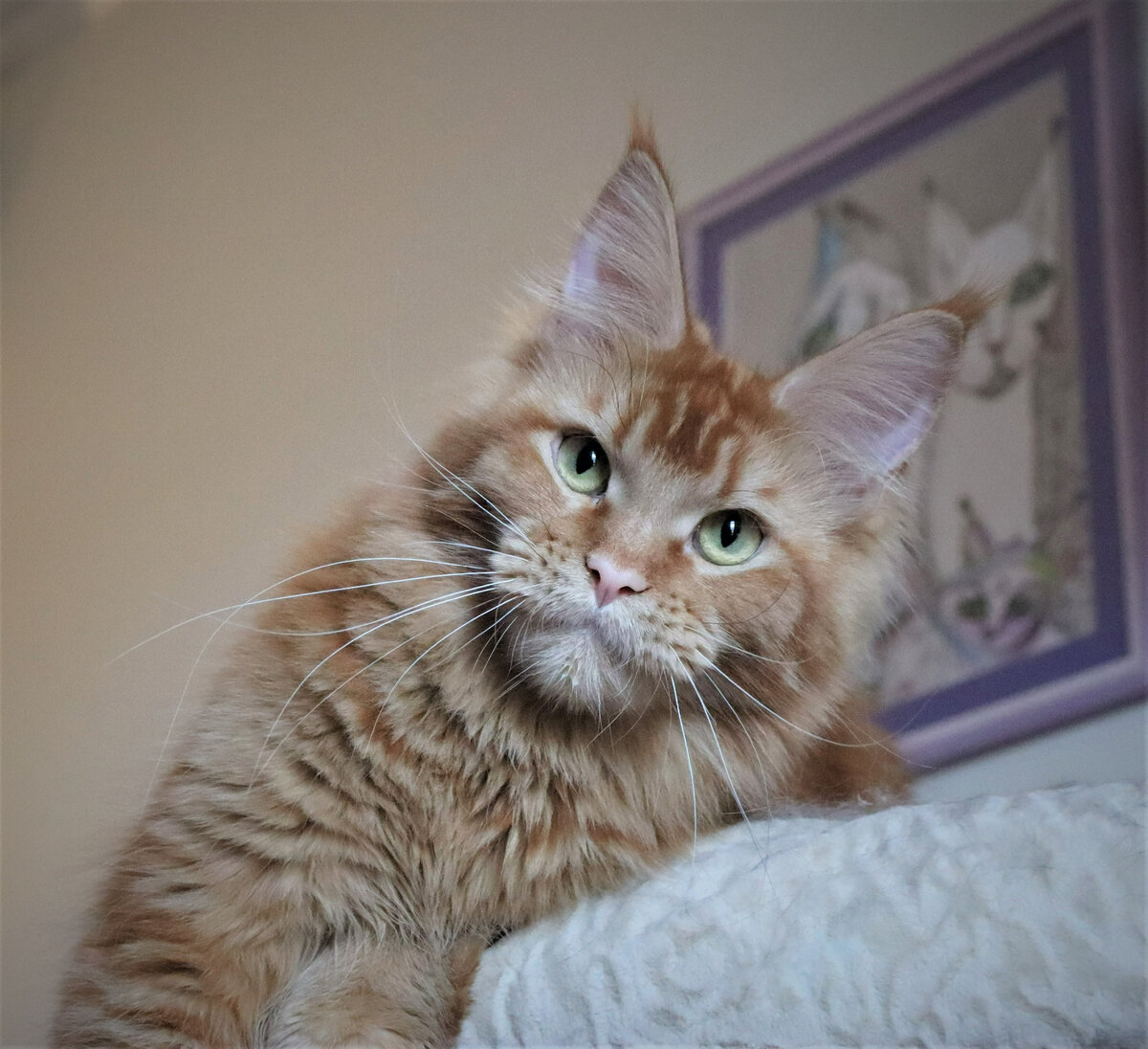 Фото из личного архива.