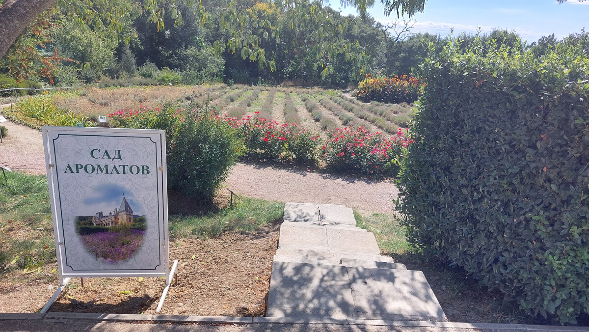 Сад ароматов