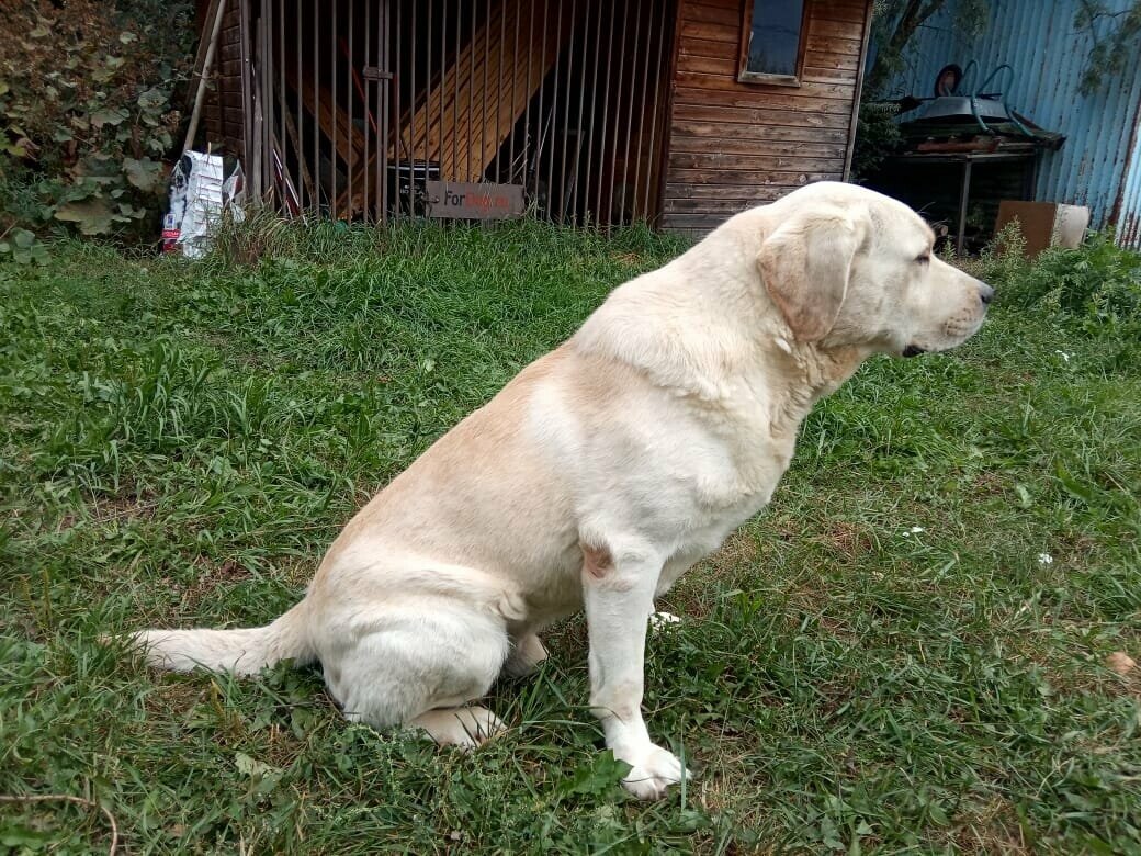 Фото: пресс-служба Татарстанской таможни