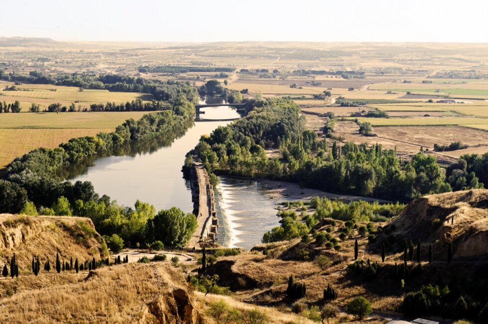 Полный путеводитель по винодельческому региону Торо