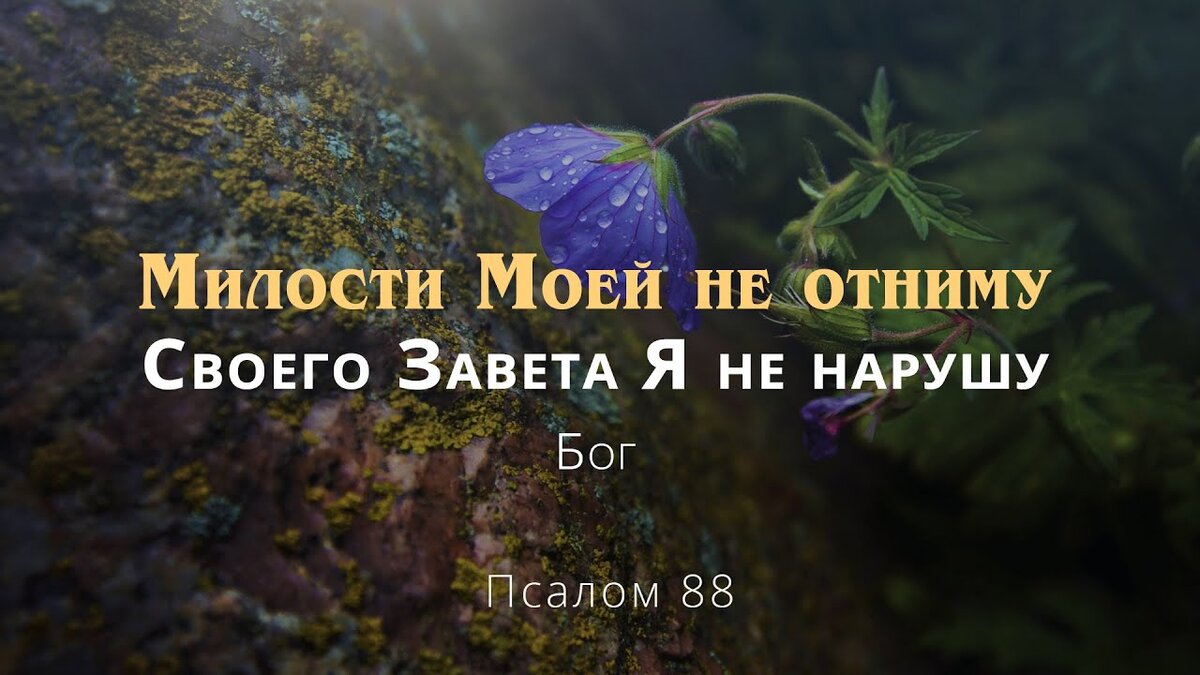 Псалом 88. Псалом 88 3...навек основана милость, на небесах утвердил исьину твою.