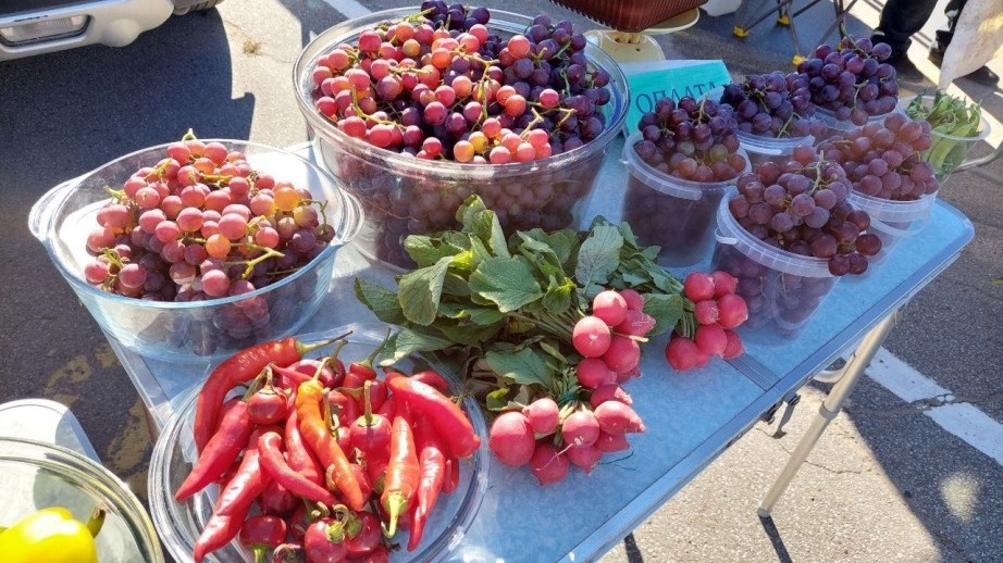     Активных участников краевой ярмарки отметили накануне Дня работника сельского хозяйства и перерабатывающей промышленности.