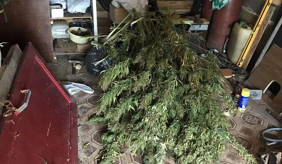 5 килограмм марихуаны хранил у себя дома житель Сморгонского района