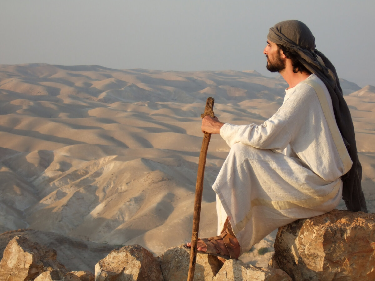 взято из свободных источников