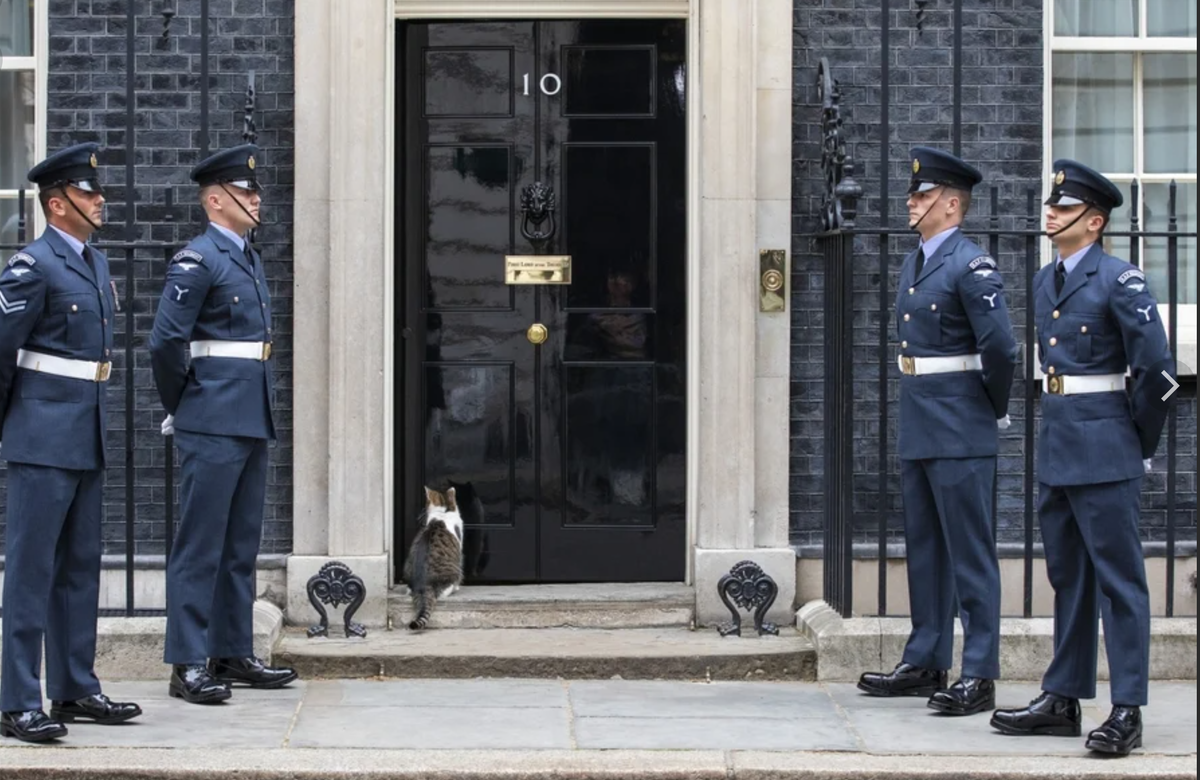 В самой консервативной стране на планете, кажется только кот Ларри стал настоящим олицетворением стабильности, невозмутимости и постоянства